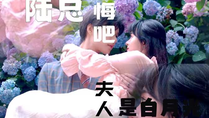 陸總懺悔吧，夫人才是白月光(全集)