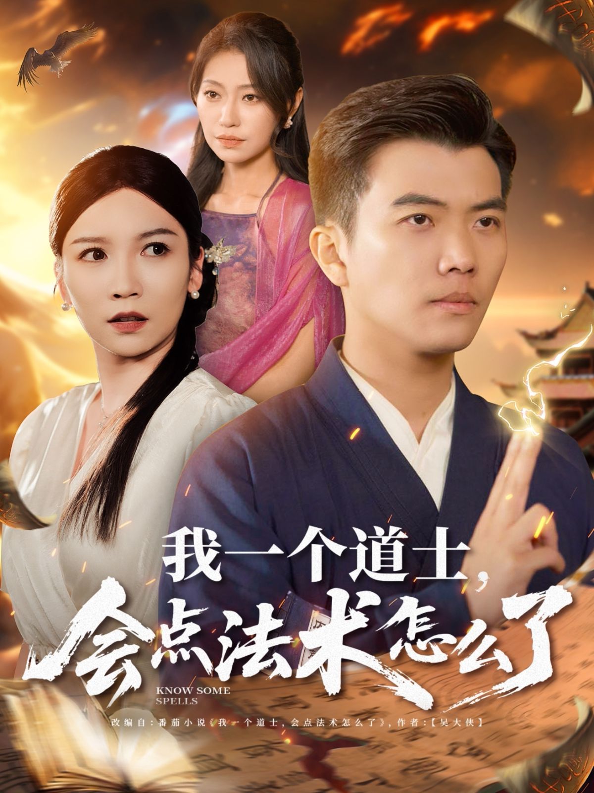 我一個道士會點法術怎么了(全集)