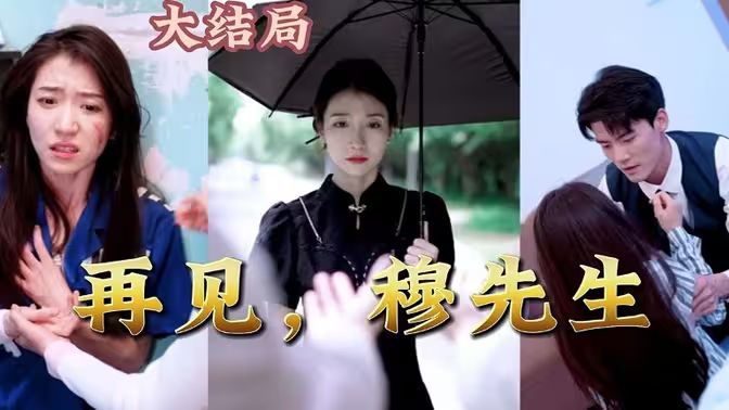 再見(jiàn)，穆先生(全集)