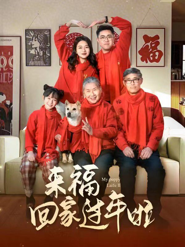 來(lái)?；丶疫^(guò)年啦(全集)