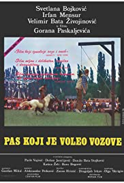 愛(ài)上火車的狗