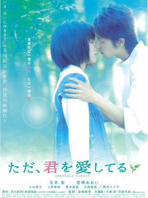 只是愛(ài)著你