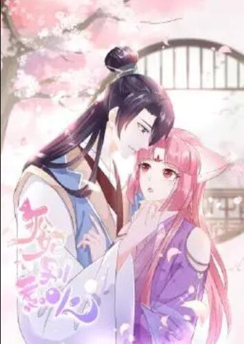 狐妃，別惹火