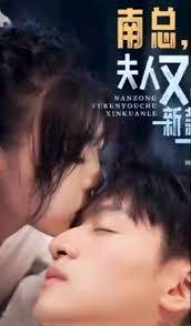 南總，夫人又出新款了(全集)