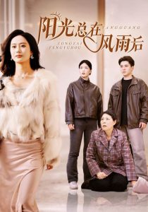 陽光總在風(fēng)雨后短劇(全集)