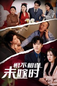 恨不相逢未嫁時30集(全集)