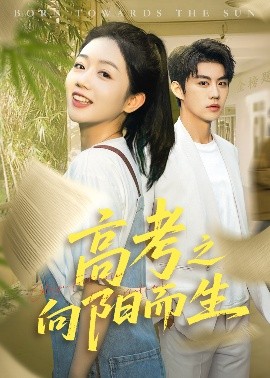 高考之向陽而生(全集)