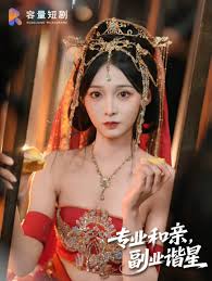 專業(yè)和親，副業(yè)諧星(全集)