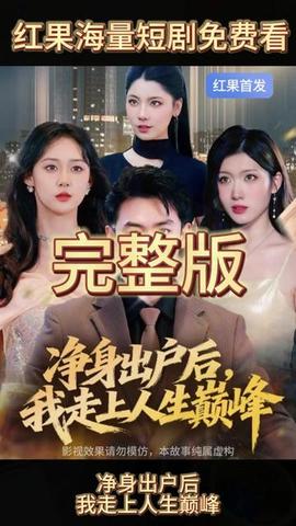 凈身出戶后，我走上人生巔峰(全集)