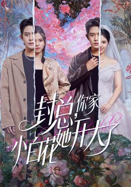 封總，你家小白花她開大了(全集)