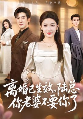 離婚已生效，陸總你老婆不要你了(全集)