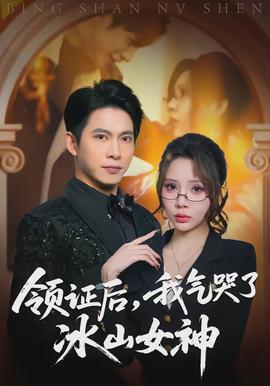 領(lǐng)證后，我氣哭了冰山女神(全集)