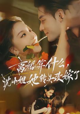 離婚算什么，沈小姐她轉頭改嫁了(全集)