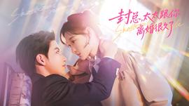 封總，太太跟你離婚很久了(全集)