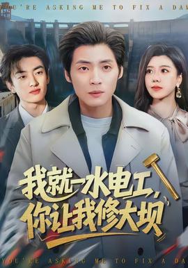 我就一水電工，你讓我修大壩(全集)