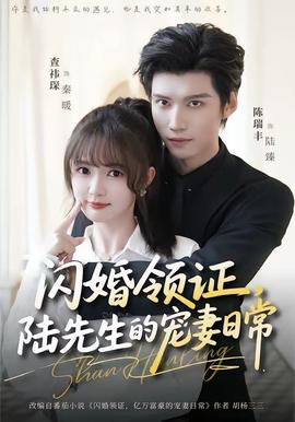 閃婚領(lǐng)證，陸先生的寵妻日常(全集)